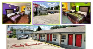 magnolia motel donaldsonville st james