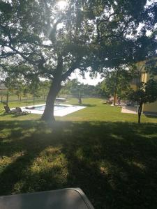Villanova Apartments 