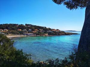 Appartements Sublime Sanary plage : photos des chambres