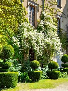 Maisons d'hotes Chateau de Bessonies : Chambre Double avec Salle de Bains Privative