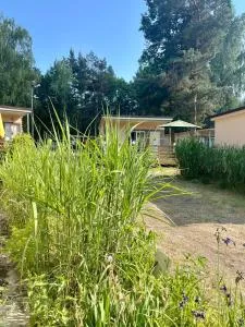 Osrodek Wypoczynkowy Flora - Nałęczów