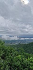 Zurabashvili Guest House