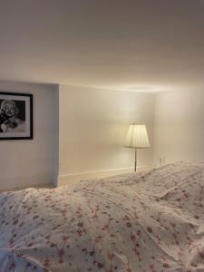 Appartements Le petit Louis Fort - Studio cosy-Gratte Ciel : photos des chambres