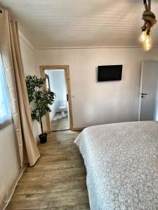 B&B / Chambres d'hotes U PASTURELLU : photos des chambres