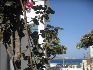 Korina's Rooms Milos Greece