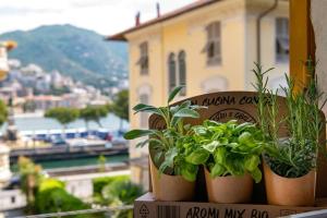 Casa Eva - Centralissima sul Porto di Rapallo