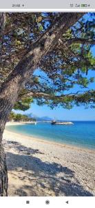 Apartman KRISTAL Živogošće