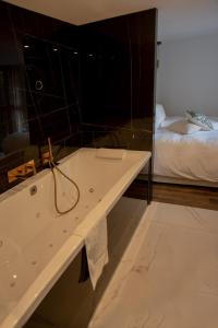 Appartements Elegant 4-star Historic Villa in Aix Les Bains : photos des chambres