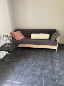 Dejligt stort hus med spa