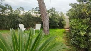 Playa Vacation House