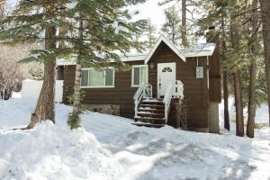 Grizzly Bear - Cozy cabin with forest views! Outdoor Hot tub and a wood burning fireplace!