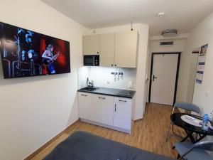 Apartamenty u Portera w Śródmieściu