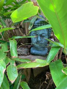 NEW Luxury Angourie Villa! Dream location, WiFi ++