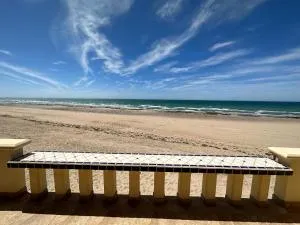 Yellow Rose - Playa Encanto