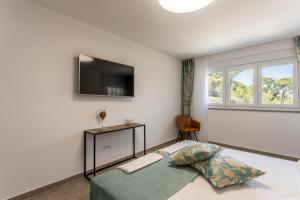 Luxury villa with a swimming pool Tugare, Omis - 20067