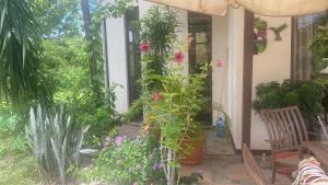 Villa Pura Vida