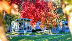 Beechworth Lake Sambell Caravan Park - Wooragee