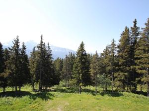 Bel Appartement 35m² proche des pistes avec terrasse - FR-1-549-127