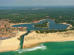 Appartement T2 idéal 4 pers à 100m plage avec parking et animaux acceptés - FR-1-379-166