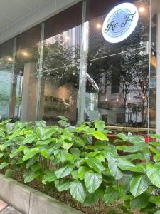 Binjai 8 Premium Soho, KLCC, nearby LRT by EC