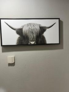 Cowtown 1 bedroom Downtown FTW