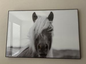 Cowtown 1 bedroom Downtown FTW