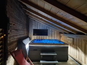 Maisons de vacances gite Le Maz'eau avec jacuzzi : photos des chambres