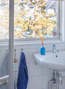 Spectacular lake plot, Stockholm archipelago