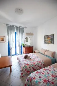 Hara's Studio - 派尔季卡