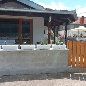 Apartmani sa pogledom na Dunav - Akademik