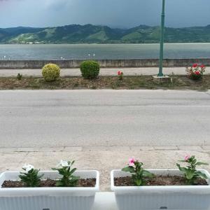 Apartmani sa pogledom na Dunav - Akademik