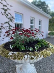 The Cottage at Riverbank