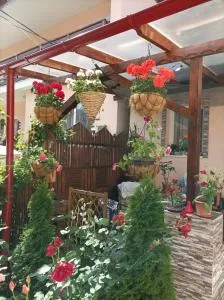 Casa Puiu - Poiana Uzului