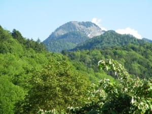 Gîte Annecy 06 - Au Royaume des Marmottes - Appt 06