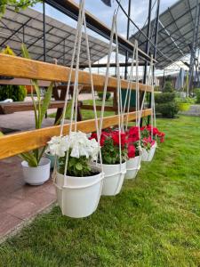 Green House Gribovka