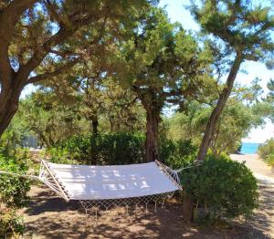 Beachfront Villa SeaShell Superior