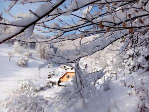 Tentes de luxe Abri de jardin amenage, chambre Camping Glamour : photos des chambres