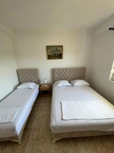 Imperator Apartments