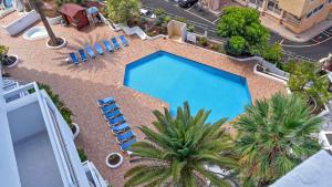 Modern Studio with a Sea View and Pool Access Ponderosa 801