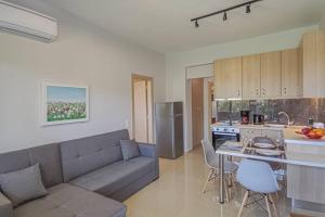 Renovated apartment 2 -Platanias