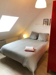 Appartements Angers - L’appartement de Marius, calme et confort : photos des chambres