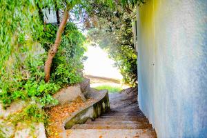 Maisons de vacances Sandra - Maison, Patio, Plage d'argent a 2 min - Verghia : photos des chambres