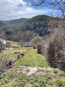 Maisons de vacances Les Gites de la Jonte : photos des chambres