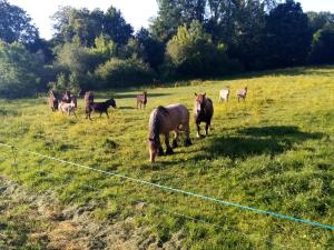 B&B / Chambres d'hotes le logis gourmand a Payroux : photos des chambres