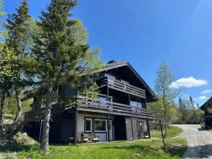 SKI INN/OUT - 4-room apartment w/3 bedroom - Bakka