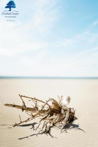 Campings Mobilhome « Serenite a la mer » : photos des chambres