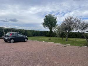 Appartements La Vigne : photos des chambres