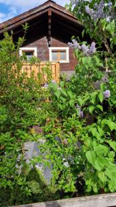 Chalet-Daheim-Fiesch 3,5-Zimmerwohnung