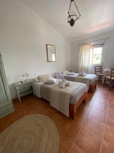 B&B La Pitraia img11