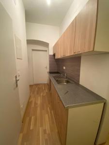 NiceApartmentHollergasse 8